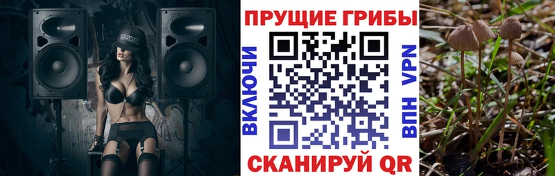Галлюциногенные грибы мухоморы  Сосновоборск 